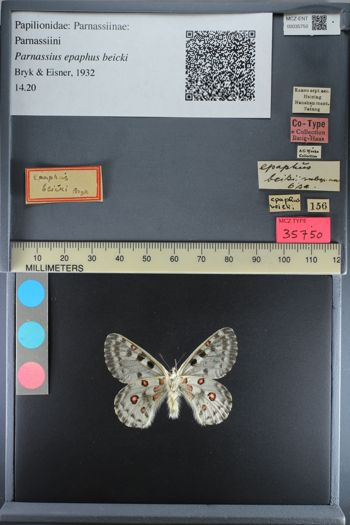 Media type: image;   Entomology 35750